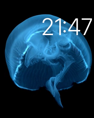 Apple Watch: Motion watch face